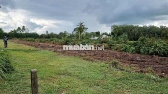 43 x 34 có thổ cư. Đường xe hơi, cập hông KCN Phước Đông. 1,3 tỷ