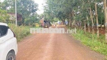 NỢ NGÂN HÀNG Chị Gái BÁN LỖ gấp lô đất điều 5000m2 giá chỉ 190tr/sao