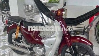 xe Cub 50cc