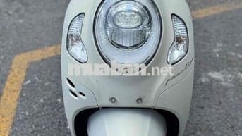 Scoopy 2024 bstp chính chủ
