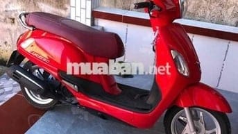 xe tay ga 50c