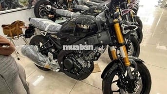 mới mua xe đi có 24 cây