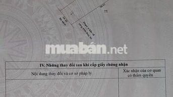 Cần tiền bán gấp đất ruộng đẹp