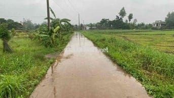 Đất xã Sông Ray, Đồng Nai diện tích hơn 4 xào cần bán