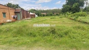 BÁN ĐẤT GIÁ RẺ – TRẢNG BÀNG, TÂY NINH( DT116m2 )445Tr