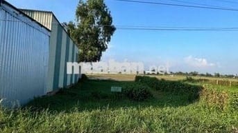 146m2 đất thổ cư, CLN 9x17 mặt tiền nhựa xe tải