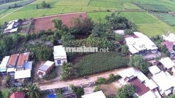 Bán 282m2( 6x47) thổ cư sổ riêng.Gần DT765, Xuân Lộc,Đồng Nai