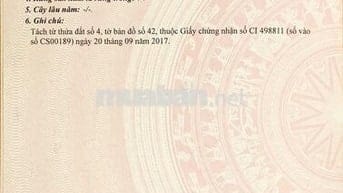 Full thổ MT đường 30m Tam Thôn Hiệp, sát trường Tiểu học TamThônHiệp