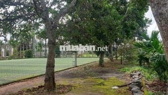 Đất 2MT (27B, 26B) có thổ cư T8 Hòa Thuận ( cũ )
