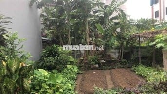 Đất 67m2 ngang 5m, HXH 4m Ngô Gia Tự, Nam Hải, Hải An 2,47 tỷ