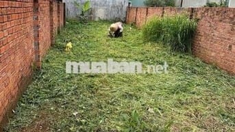 Bán đất mặt tiền đường lê minh xuân