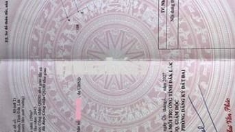 Đất thổ cư hướng Đông tứ trạch, đón nắng sáng sớm, thích hợp ở và kd