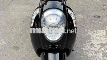 scoopy 1 BS59 BSTP - Máy zin dòng nhập thái