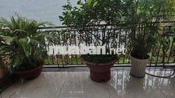 BÁN CĂN BIỆT THỰ TÂM HUYẾT SÀI GÒN