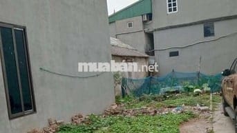 Đất 68m-6,5t Thuận Tốn-Bát Tràng -Vin1,ga metro số 8.Chính chủ,miễn TG