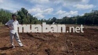 bán nhanh lô đất 7000m2 giá 3ty xe hơi vào tới đất view suối