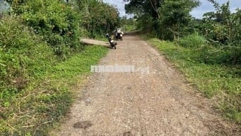 Đất nông nghiệp mặt tiền bê tông nhựa thị xã Buôn Hồ, Daklak