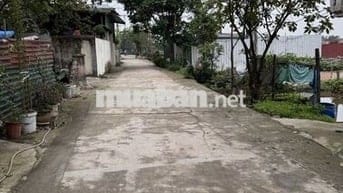 Bán gấp Đất Đại Áng ô tô ngủ trong đất ,ngõ thông ,giá đầu tư 5.6 tỷ