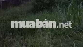 Bán đất gần chợ Phú Nhuận TP Bến Tre.