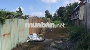 ĐẤT CHÍNH CHỦ - BÁN 2 LÔ LIỀN KỀ - Phường Phước Bình, Tỉnh Đồng Nai