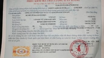 Tìm giấy tờ : PHIẾU KIỂM TRA XUẤT XƯỞNG  moto, xe máy điện VINFAST