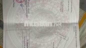 🏡 BÁN ĐẤT CỰC HIẾM – GIÁ RẺ NHẤT QUẬN HỒNG BÀNG 🏡 📍 Vị trí: Ngõ Trương