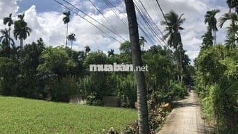 Chính chủ đất Nhị Bình 300m2, thổ cư, cách mặt tiền Bùi Công Trừng 50m