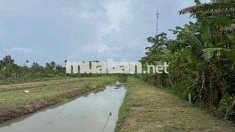 ĐẤT THỔ CƯ MẶT TIỀN LỘ 61C GIÁ CỰC RẺ