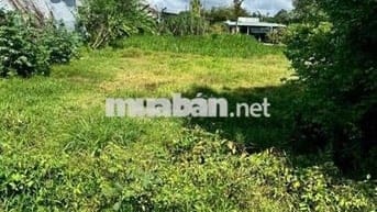 175m2 Đất full thổ cư ngay Tỉnh lộ 7 gần trường mầm non Thái Mỹ