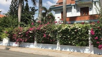 Cần bán nền biệt thự KDC Huy Hoàng dt 286m2 giá 194tr/m2
