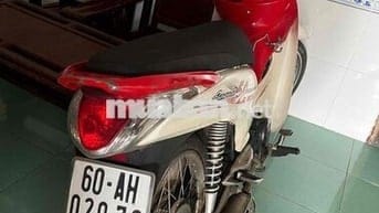 xe 50 học sinh