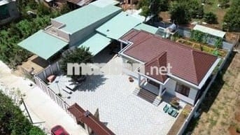 Bán Nhà Vườn 3000m2 Cẩm Mỹ,  Đồng Nai có dòng tiền thu nhập hàng tháng