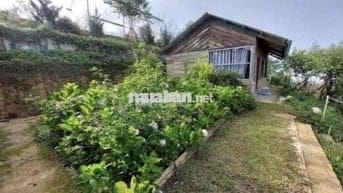 Chú Nợ Ngân Hàng Bán Homestay Có Nhà Sẵn Thị Trấn Lạc Dương Có 200m2
