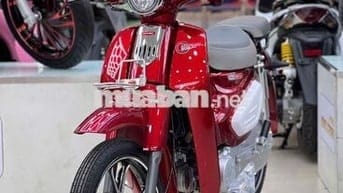 Yalim Cub 50cc KHÔNG CẦN BẰNG LÁI, TIẾT KIỆM XĂNG