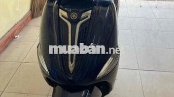 can ban yamaha nozza