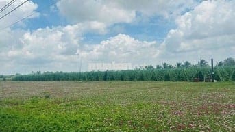 Đất đẹp ngay biển Tân Điền Beach xã Tân Điền ,Gò Công Đông,Tiền Giang