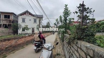 Chính chủ bán đất Hồng Vân Thường Tín ( sát Ninh Sở)