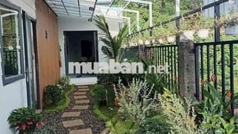 Chuyển công tác cần bán gấp lỗ lại căn nhà 153 m2 tặng vườn tiểu cảnh