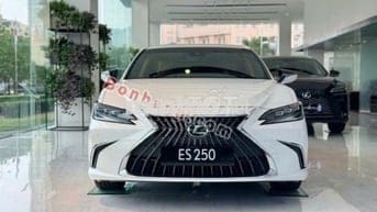 Lexus ES 250 2025