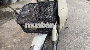 cúp 50 mẫu mới