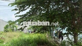 Chính chủ cần tiền bán gấp lô đất tại đường DL16 Phường Thới Hòa