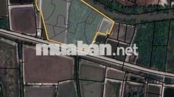 Bán Gấp Lô Đất Nông Nghiệp xã Tam Thôn Hiệp huyện Cần Giờ TPHCM