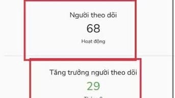 Hỗ trợ đầu tư copytrade vàng, robot