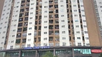 BQL cho thuê 481m2 tầng 3 tòa 33 mạc thái Tổ làm văn phòng, trung tâm 