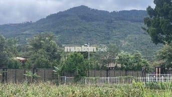 View núi Đại Bình Lộc sơn - Bảo Lộc - 336m2 sẵn thổ cư chỉ 2tỉ150tr