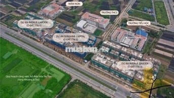 ĐẤT TĐC Tây Tựu-80m2- mặt đường Tây Thăng Long-đầu tư là có lời