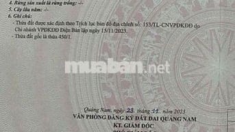 🔥168m2 đường bê tông 4m, trục chính Trần Thủ Độ, giá 1 tỷ 670 triệu.