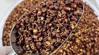 Bột ngũ cốc cao cấp NaNa - 100% thuần tự nhiên từ 15 loại đậu hạt