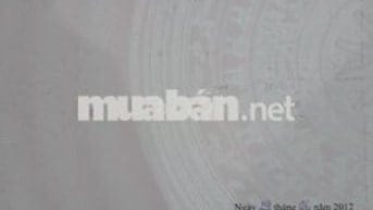 Bán đất mặt tiền Sân bay Long Thành