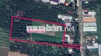 Bán đất ở Đường Huỳnh Văn Điệp-Chợ Gạo-Tiền Giang